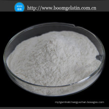 Good Quality Sodium Alginate for Food/Industrial/Medical Application
